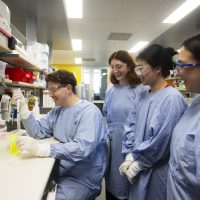 Avatar for Research Program