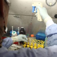 Avatar for Research Program