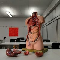 Avatar for Research Program